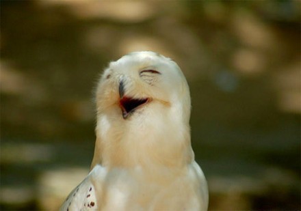 金昶泰機械18028192316(微信)